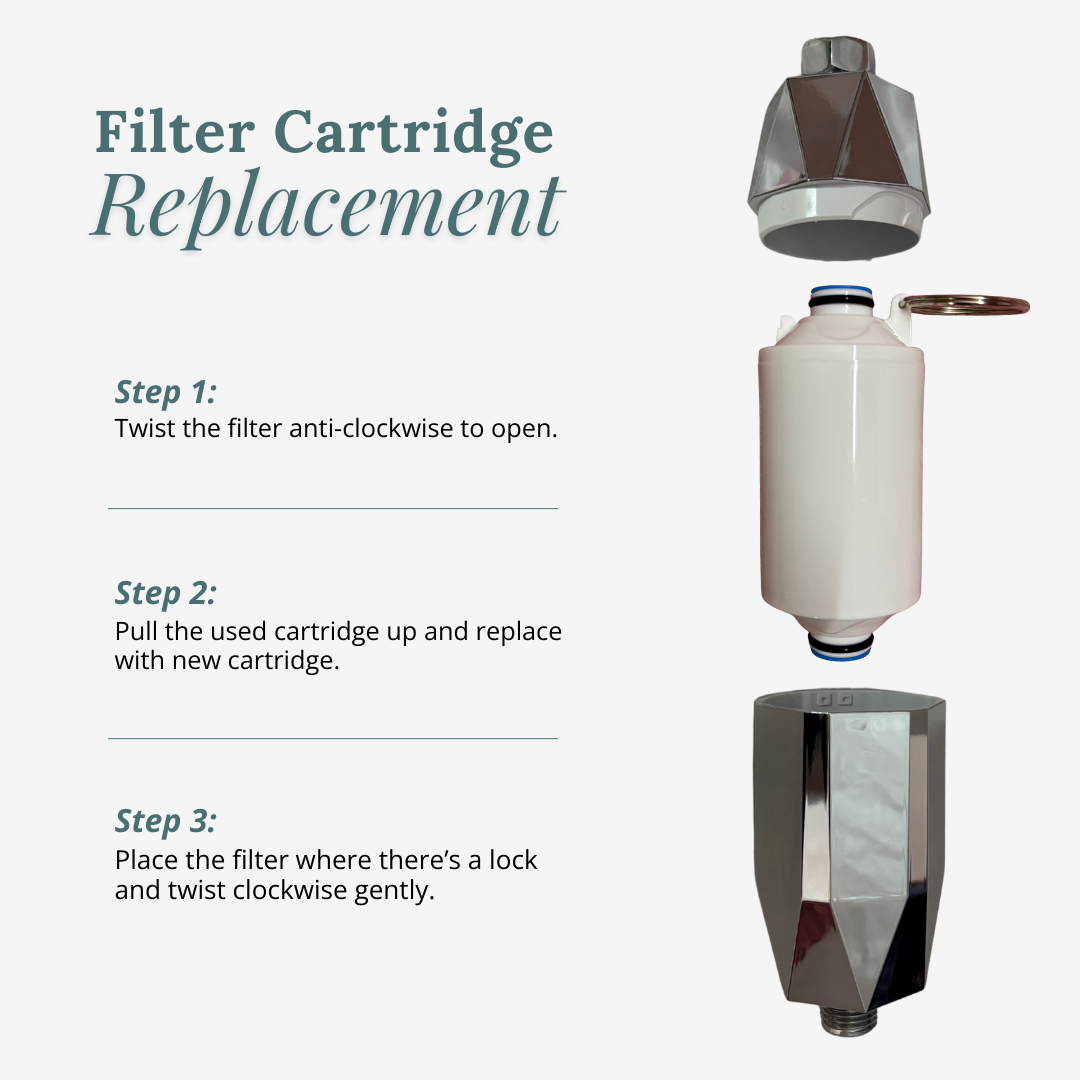 RINSE FILTER CARTRIDGE - Rinse Skin